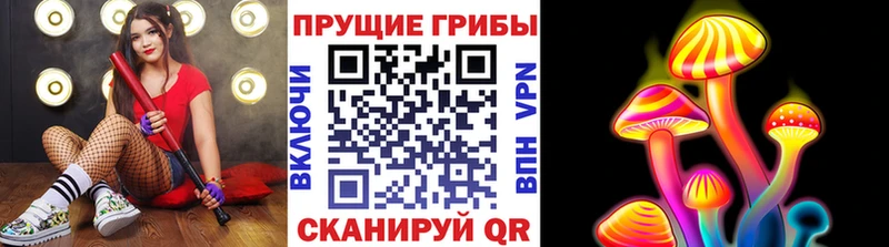 где купить   Энгельс  Галлюциногенные грибы MAGIC MUSHROOMS 
